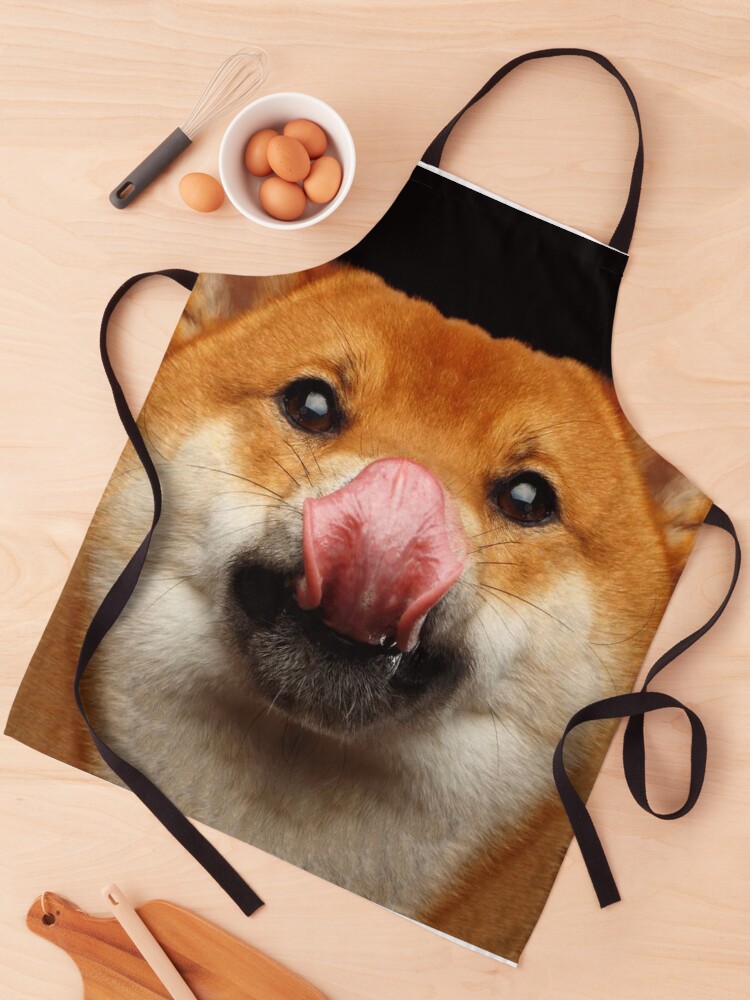 funny shiba inu