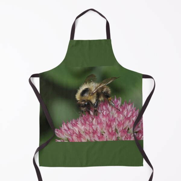 Item preview, Bee Feeding on Sedum designed and sold by Chris Monks.