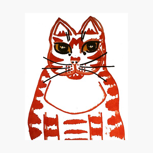 Ruby the Marmalade cat Photographic Print