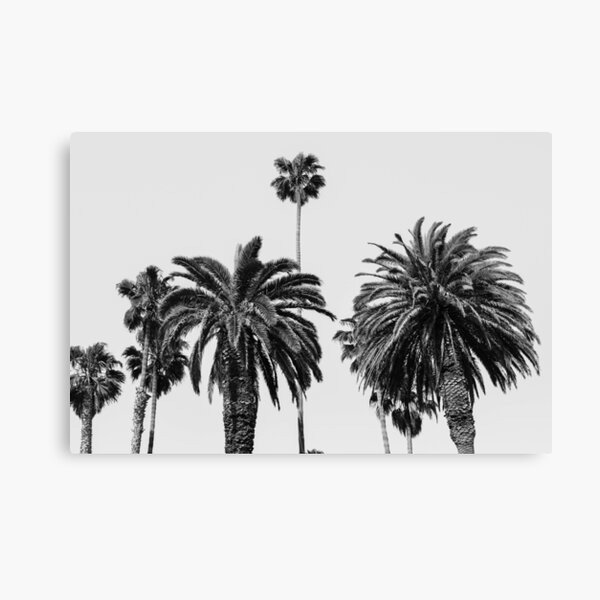 Houston Astros MLB Tropical Coconut Tree Sunset Design Hawaiian