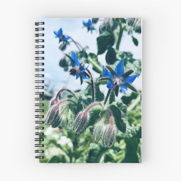 Item preview, Borage designed and sold by elizarw.