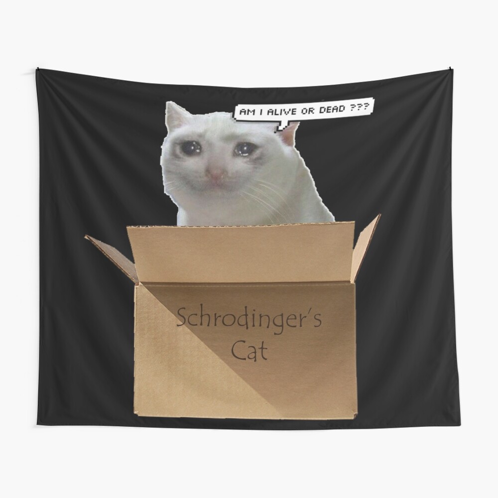 Schrodingers Cat Meme Mounted Print By Faeblehoarder Redbubble
