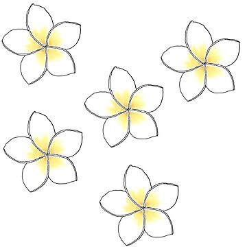 Aperçu de l'œuvre PLUMERIA petit de basiastachurska