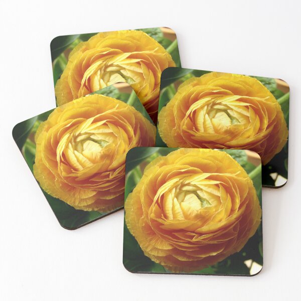 Item preview, Beauty designed and sold by AGODIPhoto.