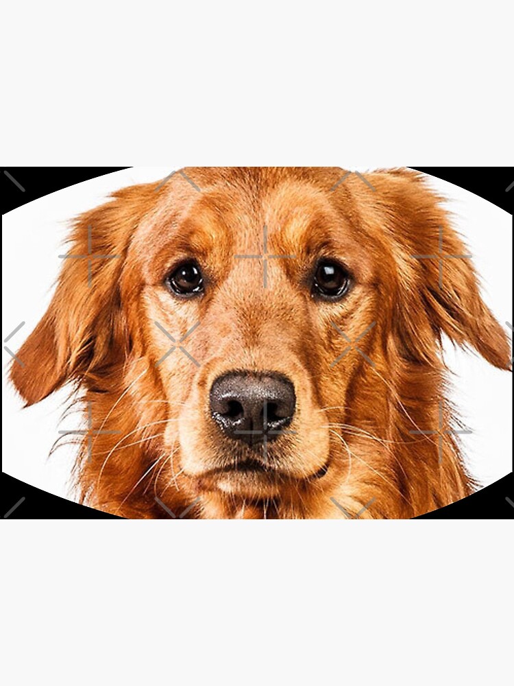 Golden Retriever face design by Mbranco