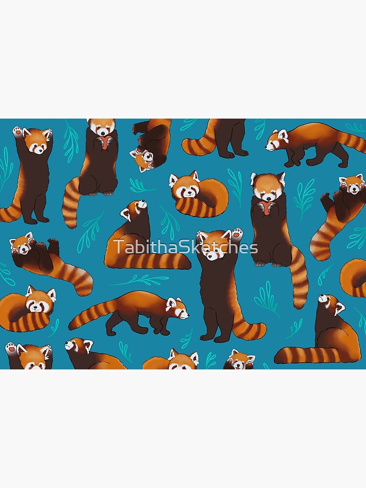 Red Pandas by TabithaSketches