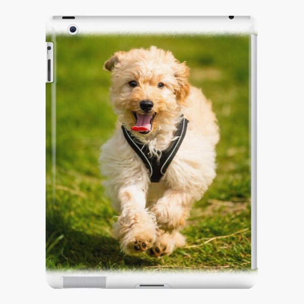 Cute Puppy Ipad Cases Skins Redbubble - derpy puppy roblox