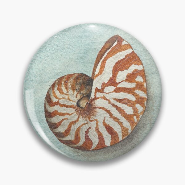 Item preview, Nautilus in watercolor designed and sold by bettinabk.