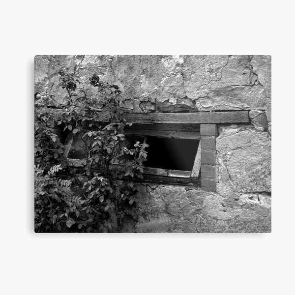 One Less Window to Clean Metal Print