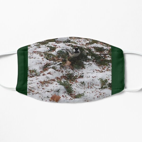 Chickadee in winter Mask