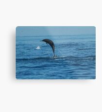 Jump, Jump! Metal Print