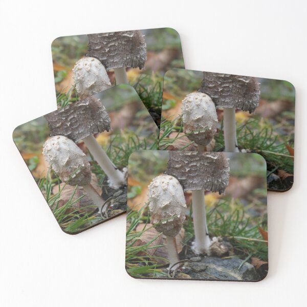 Artikelvorschau, Mountain Mushrooms entworfen und verkauft von AGODIPhoto.