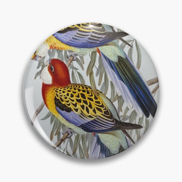 Artikelvorschau, John Gould - Östliche Rosella entworfen und verkauft von artcenter.