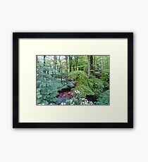 Glade Framed Print