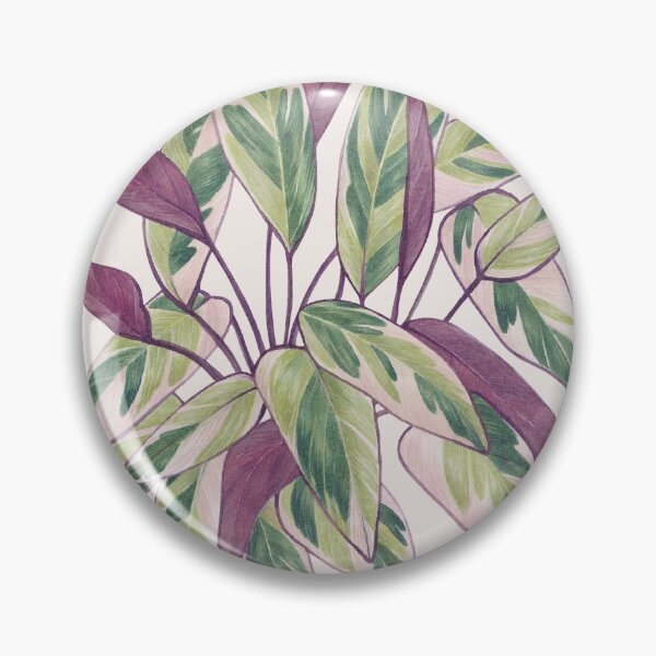 Item preview, Stromanthe Triostar designed and sold by Magnolia-art.