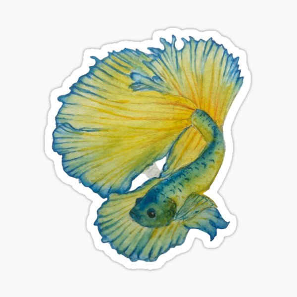 Yellow and Blue Betta fish Sticker
