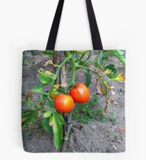 Almost Ripe Tomatoes Tote Bag
