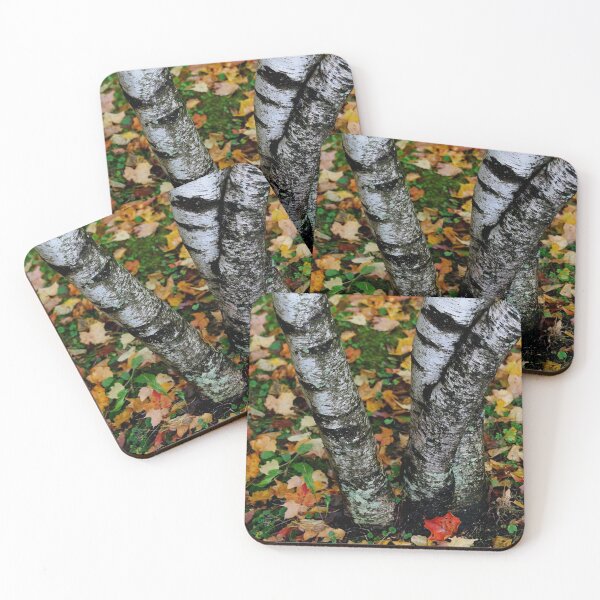 Item preview, Birch designed and sold by AGODIPhoto.