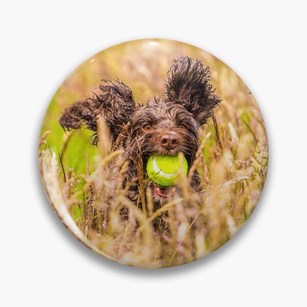 Item preview, Cockapoo running in long grass photo designed and sold by bdws.