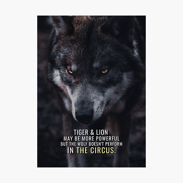 Wolf doesn't perform in the Circus Photographic Print