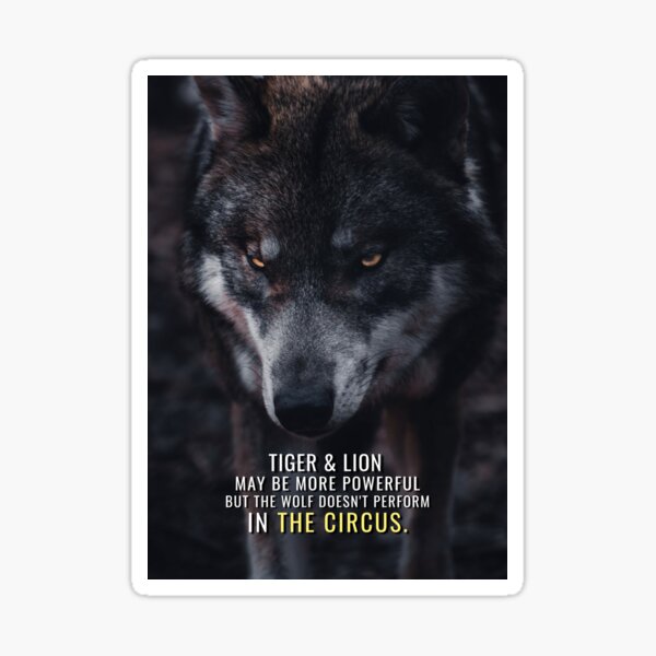 Wolf doesn't perform in the Circus Sticker