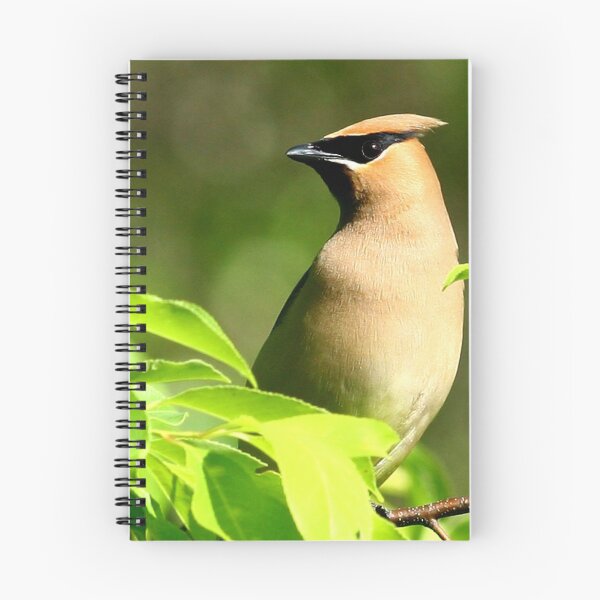 Item preview, Cedar Waxwing designed and sold by Enola Gay Wagner.