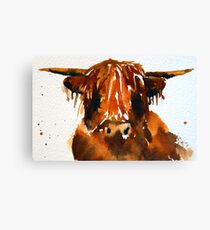 Shaggy Mook in watercolour Canvas Print