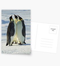 Emperor Group Postcards