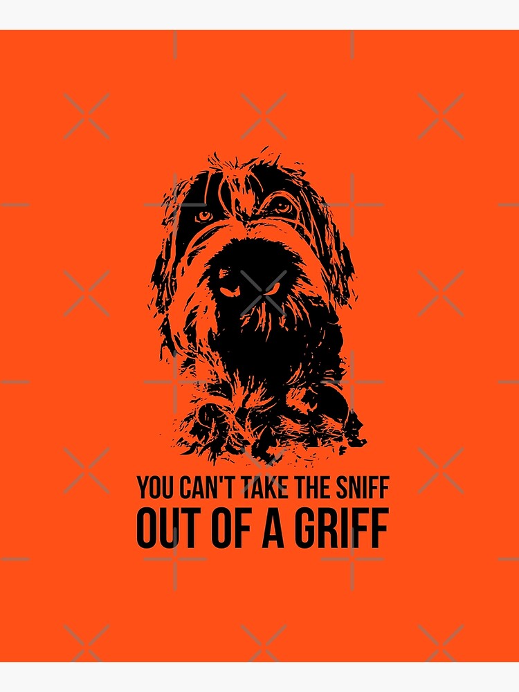 SNIFF A GRIFF II by boesarts