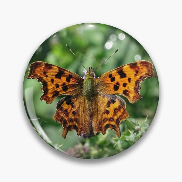 Item preview, Comma Butterfly designed and sold by Barrie Woodward.