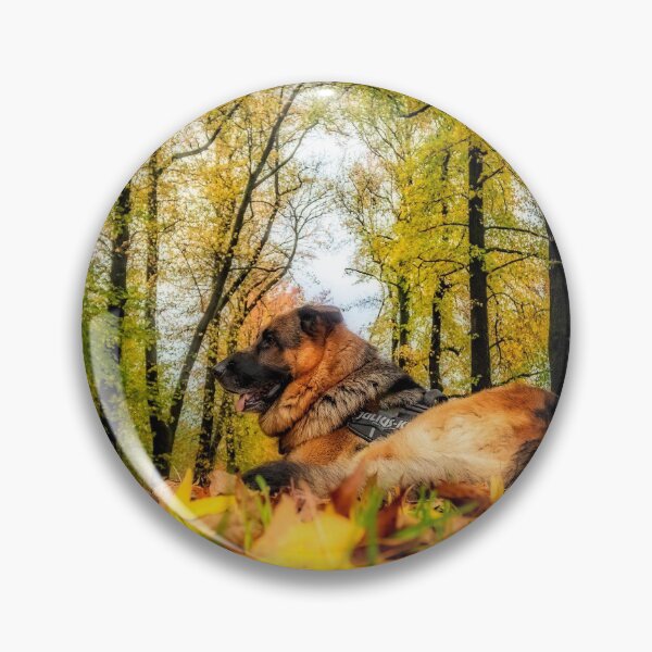 Item preview, Axel among autumnal leaves designed and sold by Roberto Pagani.