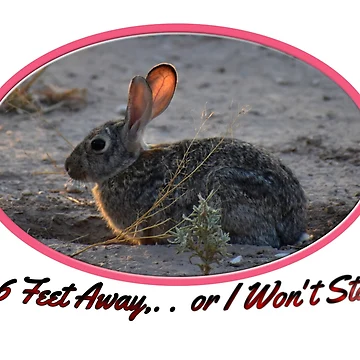 Artwork thumbnail, Run Rabbit Run by Digitalcrone