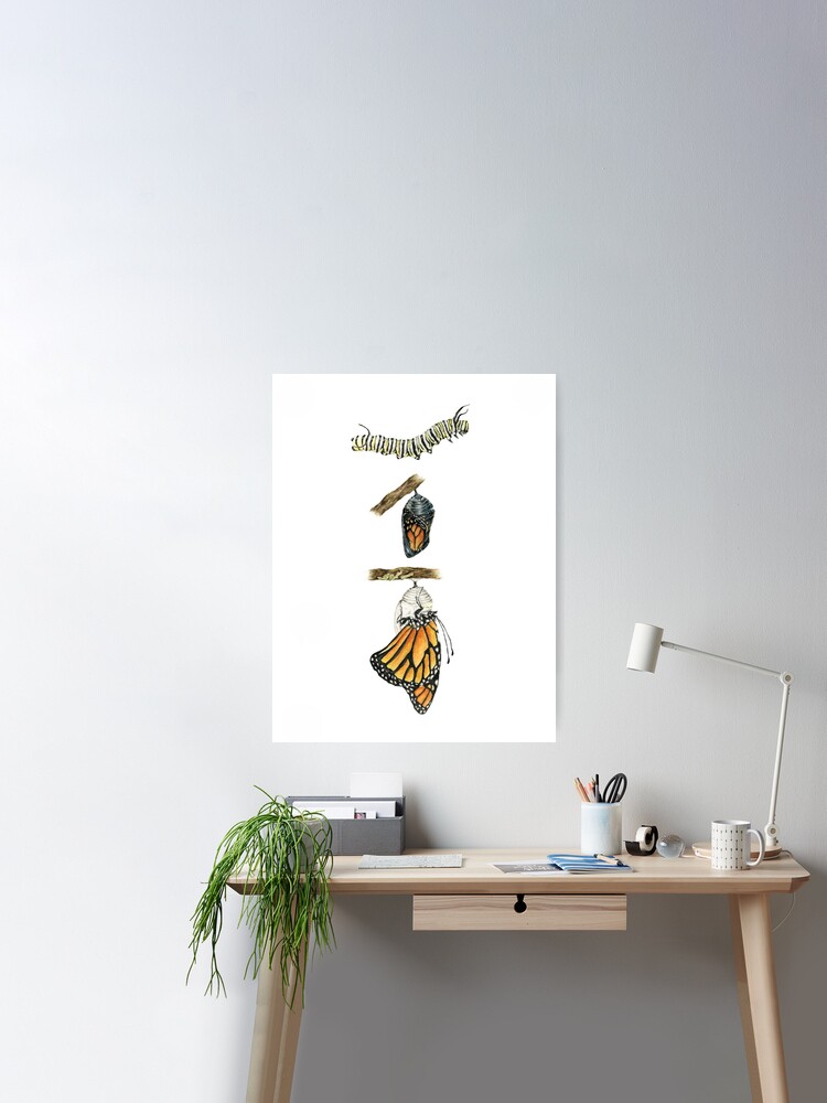 Monarch Butterfly Life Cycle Stages Art, Cottagecore Decor