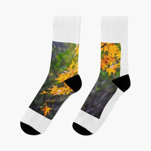 Item preview, Colored foliage designed and sold by Roberto Pagani.