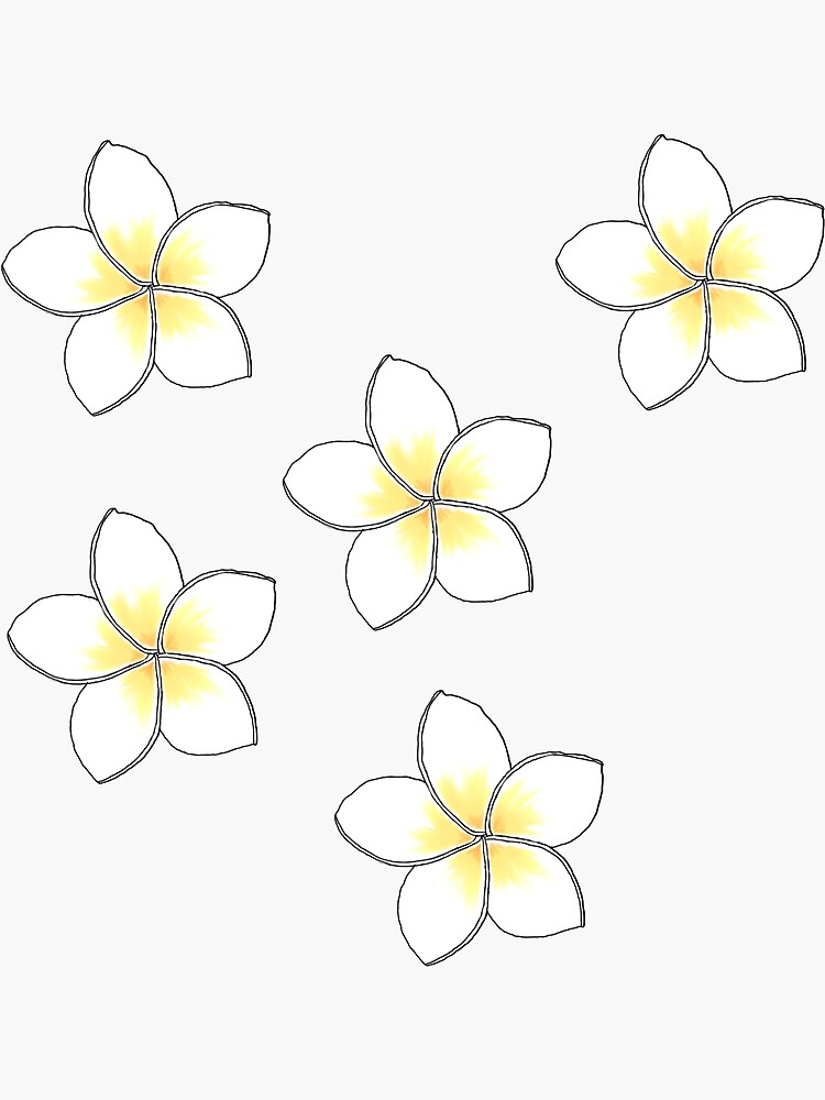 Aperçu 3 sur 3. Sticker avec l'œuvre PLUMERIA petit créée et vendue par basiastachurska.
