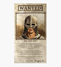 Wanted: The Gray Fox Photographic Print