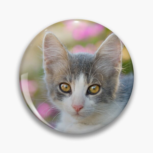 Item preview, Cute young bicolour cat kitten designed and sold by Katho Menden.