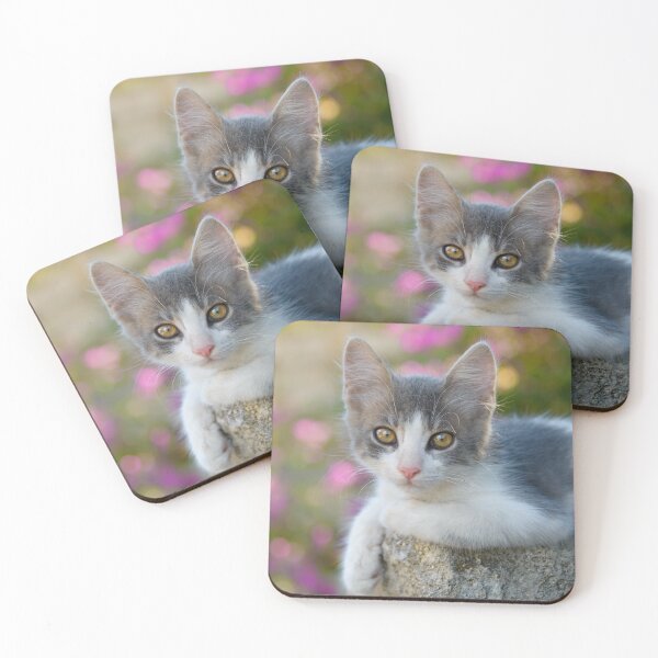 Item preview, Cute young bicolour cat kitten designed and sold by Katho Menden.