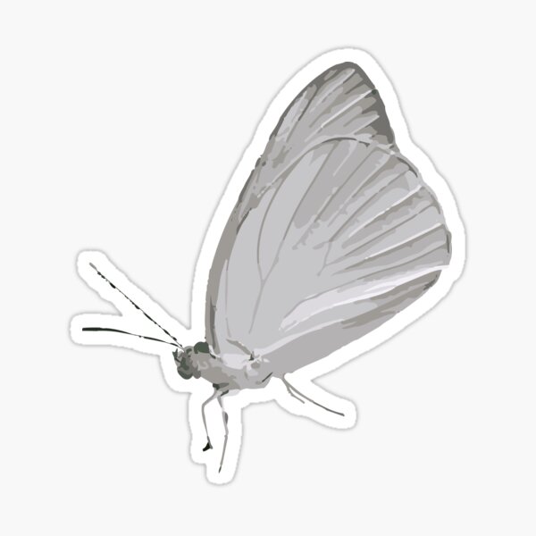 "White Butterfly" Sticker by GorsskyVlogs Redbubble