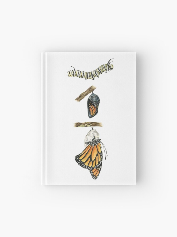 Monarch Butterfly Life Cycle Stages Art, Cottagecore Decor
