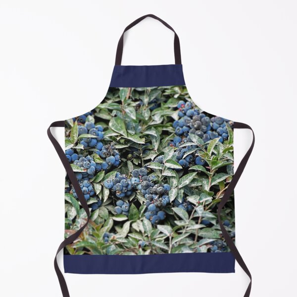 Item preview, Maine Blueberries designed and sold by NGraham72.