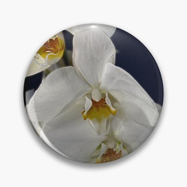 Item preview, White Orchids by John Skelton designed and sold by EdwinJohn.