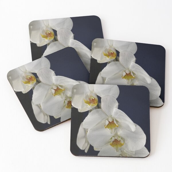 Item preview, White Orchids by John Skelton designed and sold by EdwinJohn.