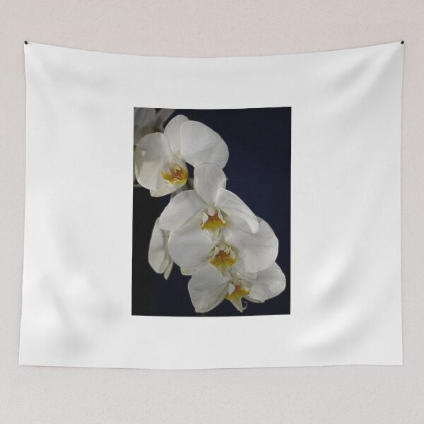 Item preview, White Orchids by John Skelton designed and sold by EdwinJohn.