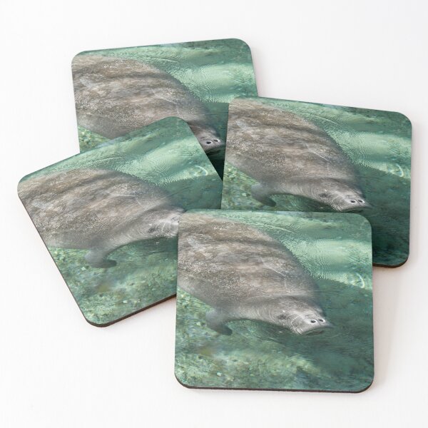 Item preview, Manatee Magic designed and sold by LizFingland.