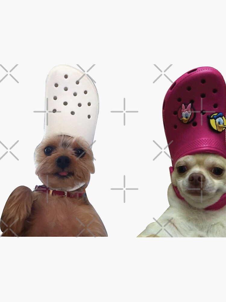 Replying to @user4653601150327 dog crocs are IT rn 🫡