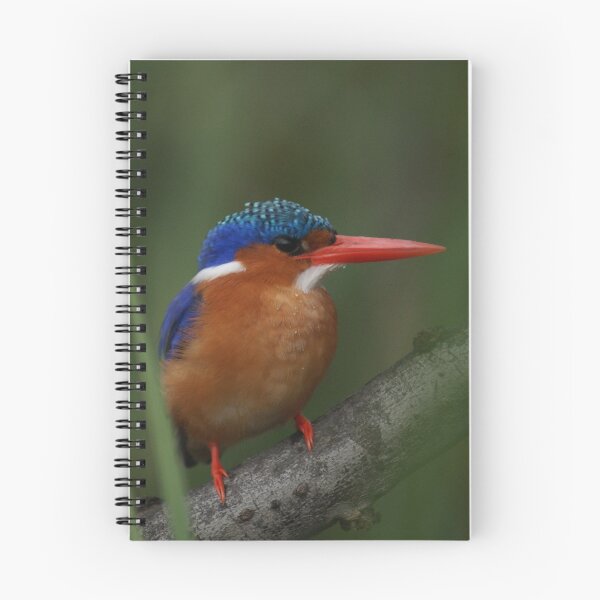 Item preview, Malachite Kingfisher designed and sold by Tara Pirie.
