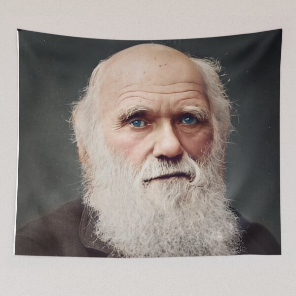 Artikelvorschau, Charles Darwin entworfen und verkauft von AndythephotoDr.