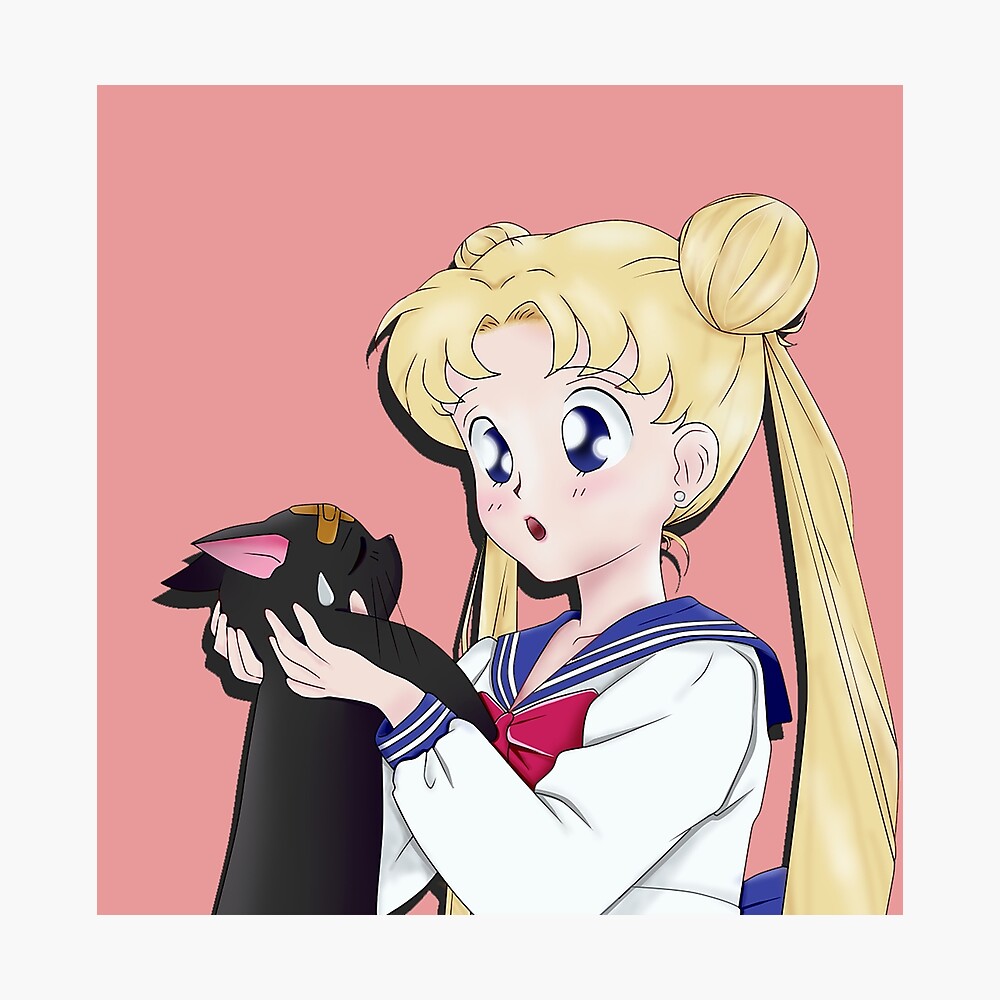 Usagi And Luna V2 Poster For Sale By Purple Space Redbubble