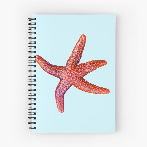 Item preview, Orange Starfish with Blue Background designed and sold by fourleafphotos.